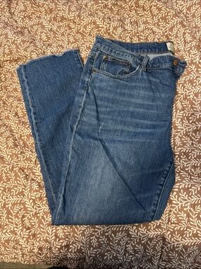 J. Crew Blue Straight Leg Women's Jeans